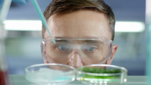 Technicien d'une plateforme technologique